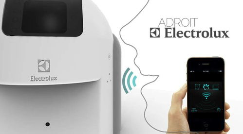 寻找灵感丨让铲屎官爱不释手的宠物产品设计与软件开发