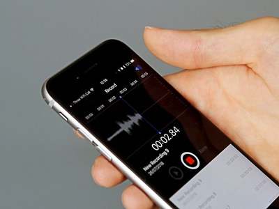 会说话的植物 从录音制作到创意展示的完整指南